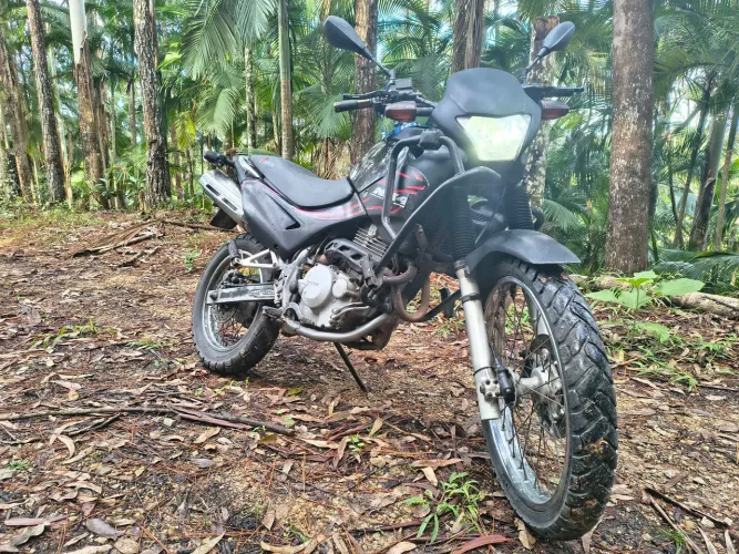 Nx Falcon 400 2006