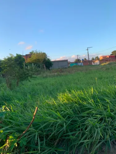 Terreno à venda - Próximo ao Parque Viver