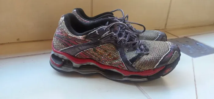 Mizuno prophecy 1 Pro 1