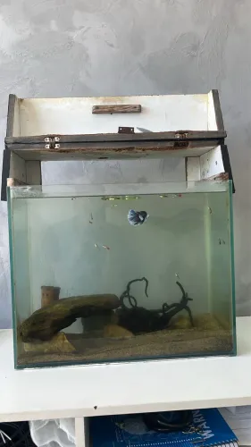 Aquário 60L