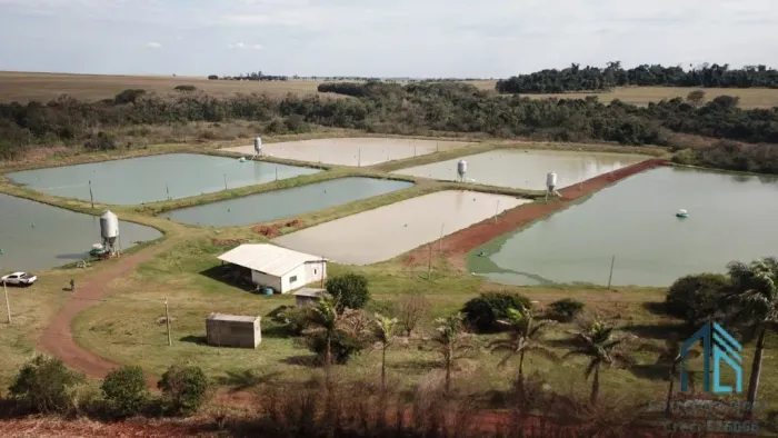 Sítio Produtivo de 5 alqueires, 7 tanques, em São Miguel do Iguaçu PR