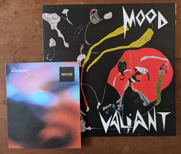 Hiatus Kaiyote - Mood Valiant (LP Noize)