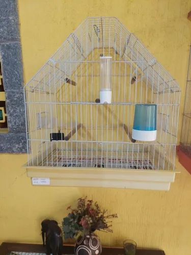 Gaiola para agaporne e calopsita