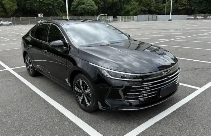 BYD King GS 1.5 16V Aut. (hibrido) 2025