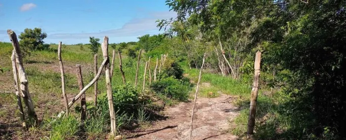 Vendo sitio escriturado 12 ha