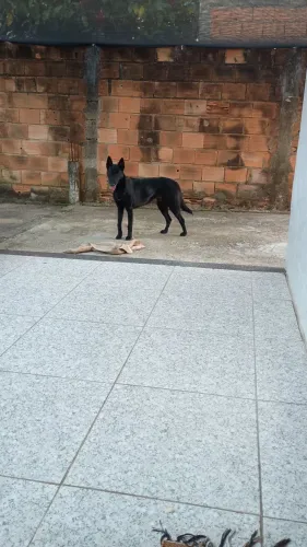 Doação