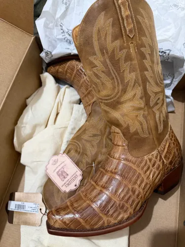 Bota