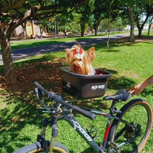 Cadeirinha Pet Bicicleta Pup Bike Cesta Cachorro e Gato - ÓTIMO PARA PASSEAR !!