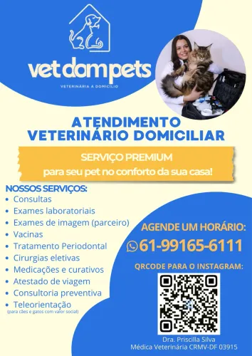 Veterinária em domicílio 