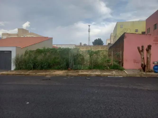 Terreno Para Venda No Bairro Santa Monica