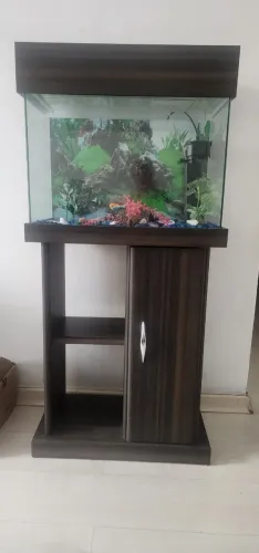Vendo aquário com base completo, com bomba, rede e aspirador manual