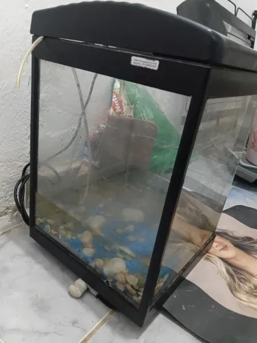 Aquário 