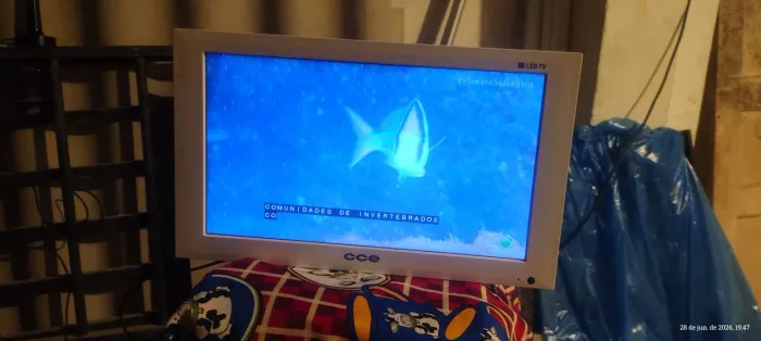 380,00. TV MONITOR 14  USB VGA. HFMI. EDICAO LIMITADA