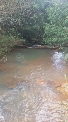 chácara P.Alta cs 3qts,córrego, pomar.