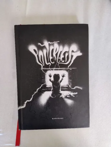 Poltergeist - DarkSide Books (Livro Usado)