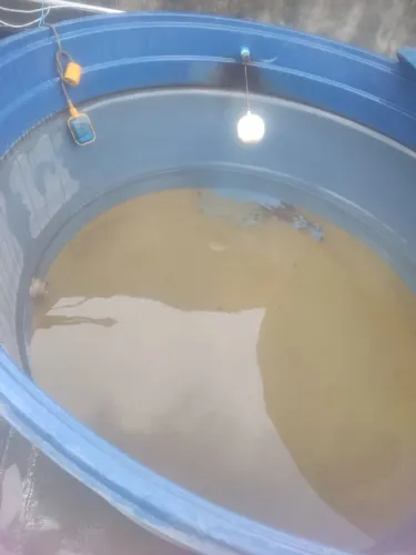 Equipe especializada em Limpeza de caixa d'água