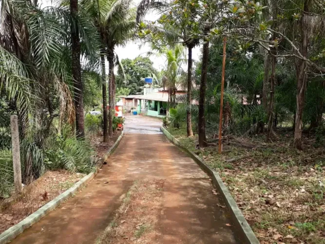 Fazenda/Sítio/Chácara para venda tem 286 metros quadrados de área construídacom 3 quartos