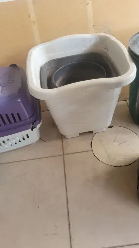 Vasos de plantas diversos