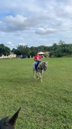 Égua top 