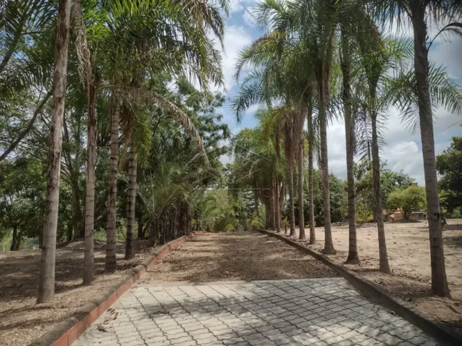 Rural Sitio em Bofete