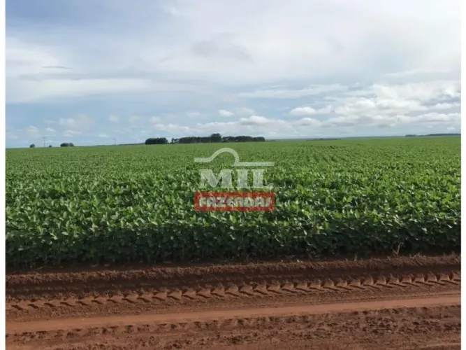 Fazenda de 700 alqueires (3.400 hectares) em Novo São Joaquim / Primavera do Leste MT