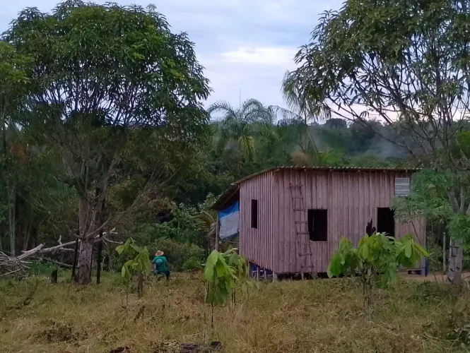 Vendo ou troco terreno no Pau Rosa 