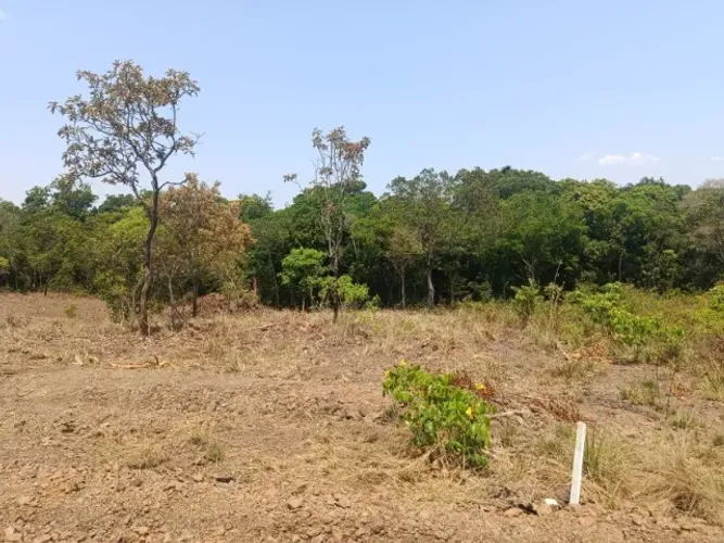 Terreno de 5.000 m² plano, com presença de nascente, perto da futura Cidade do Automóvel