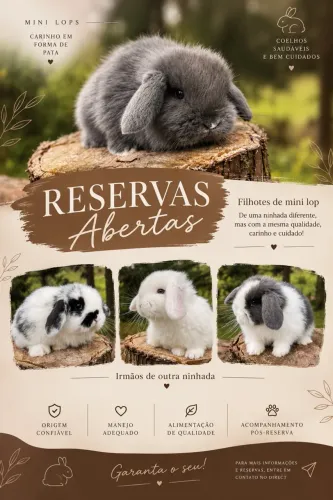 Mini lop disponível para reserva ?