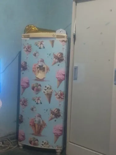 Vendo uma geladeira
