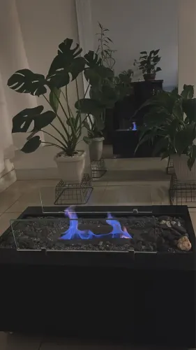 Lareira ecológica