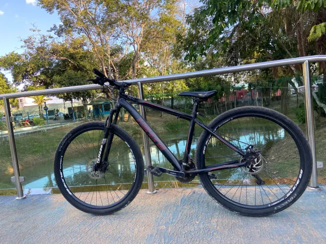 Bike Absolute Aro 29