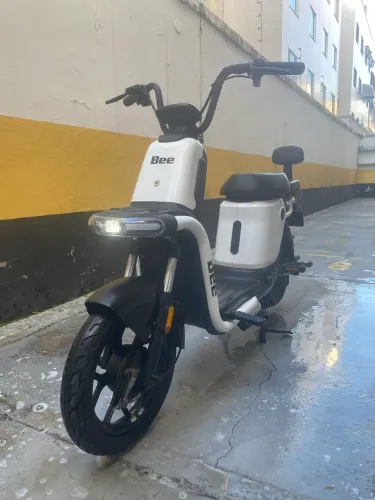 Bee S1 2023
