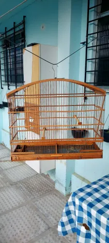 Gaiola