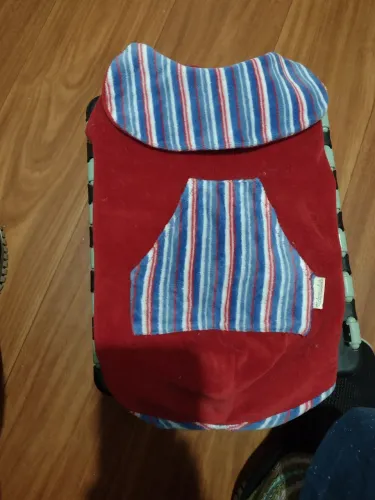 Roupas pet 