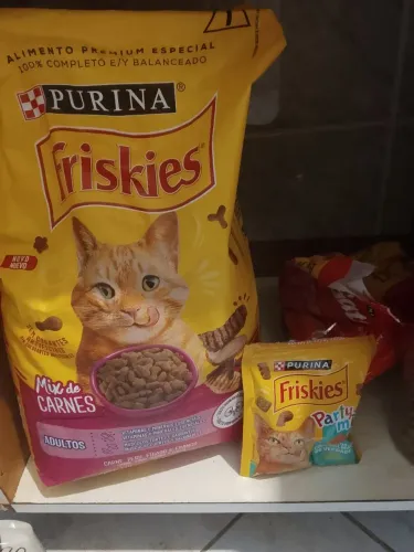 Ração, potes e caixa de areia para gatos