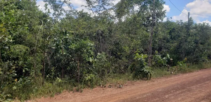 Terreno a venda Pontal do Abaete 