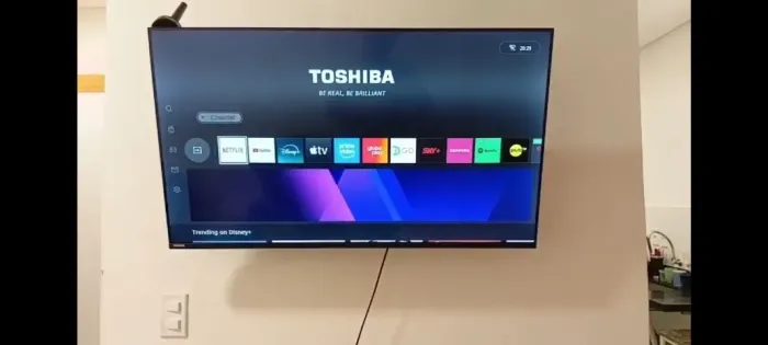 Televisão
