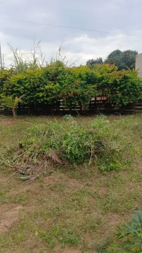 Terreno Localizado no bairro aparecidinha