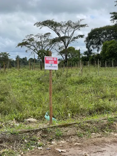 Vendo lote em São Felipe-BA 