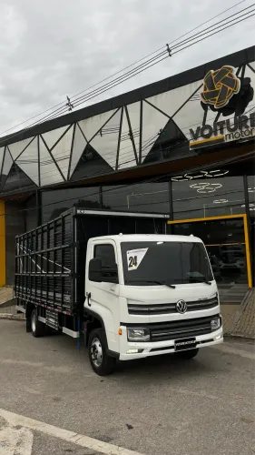 VW DELIVERY EXPRESS 9-180 | 2024 | 8.000KM | GAIOLA BOIADEIRA 