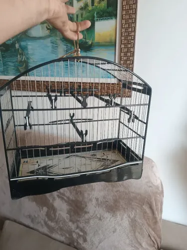 Gaiola pra Papa capim padrão torneio reduzida