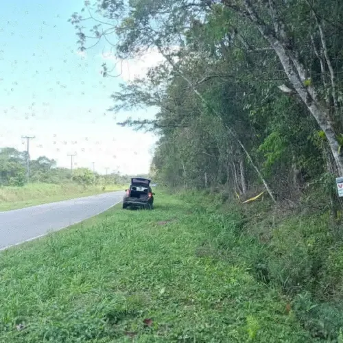 Imóvel para venda com 4750000 metros quadrados em Barra do Saí - Itapoá - SC