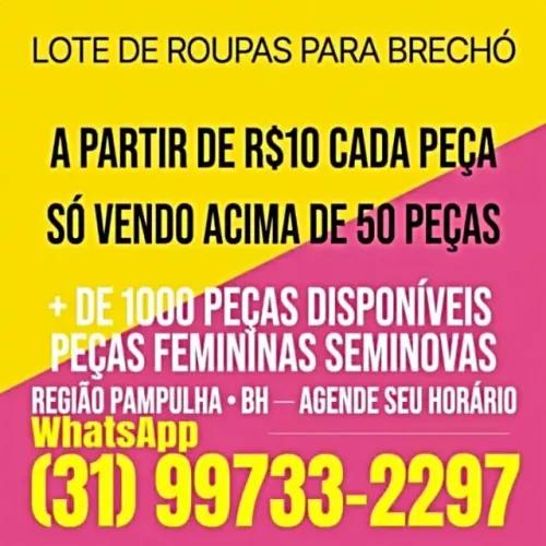 Lote de roupas femininas adulto