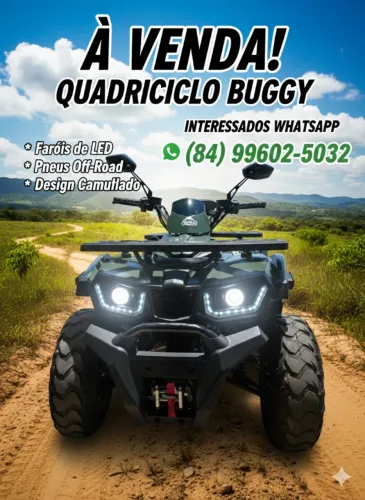 Quadriciclo Buggy 200cc 4x2 - Apenas 1.500km (Semi-novo)