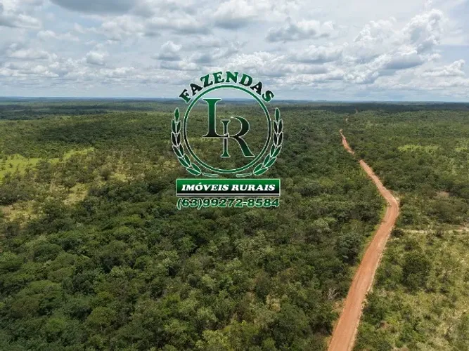 Fazenda Dupla Aptidão Bruta de 40 Alqueires Tocantins