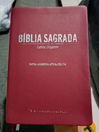 Bíblia Sagrada - Livro