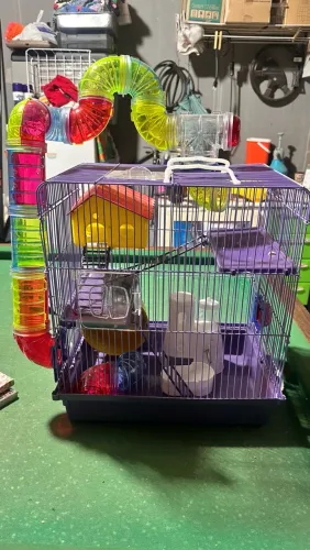 Gaiola de hamster 3 andares com tubo e comedouro/bebedouro