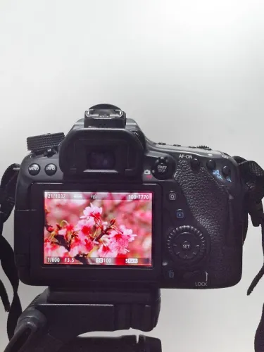 Canon 80d