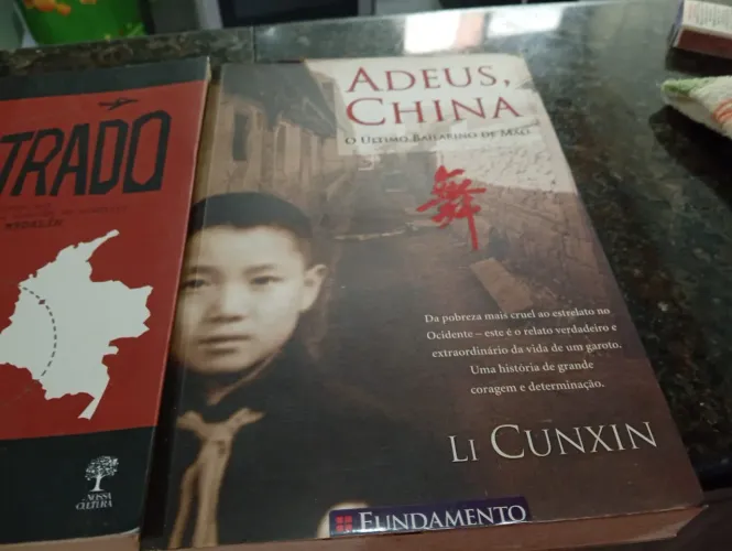 Lote de Livros