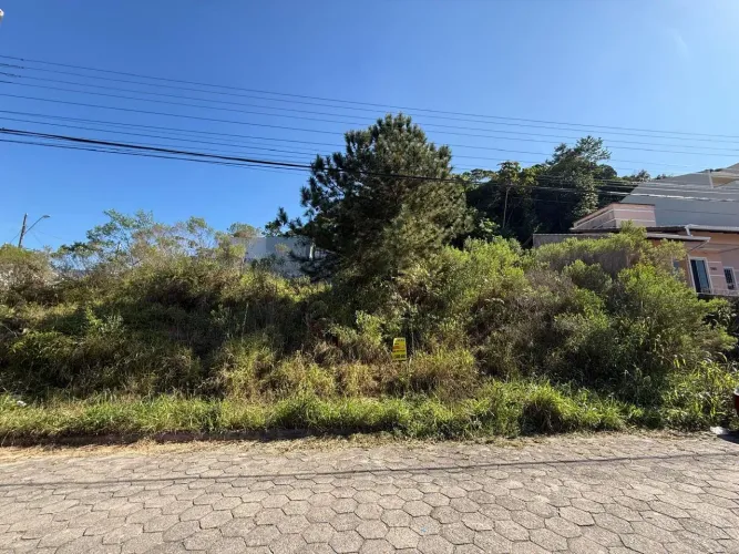 Lote / Terreno em Forquilhas - São José